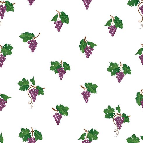 Grape branch seamless pattern. Wine yard natural fruit ornament. Food background. vector