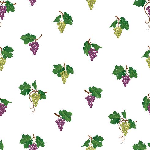 Grape branch seamless pattern. Wine yard natural fruit ornament. Food background. vector