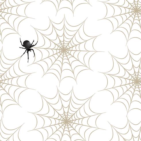 Patrón sin costuras de halloween Fondo de vacaciones con araña, web. vector