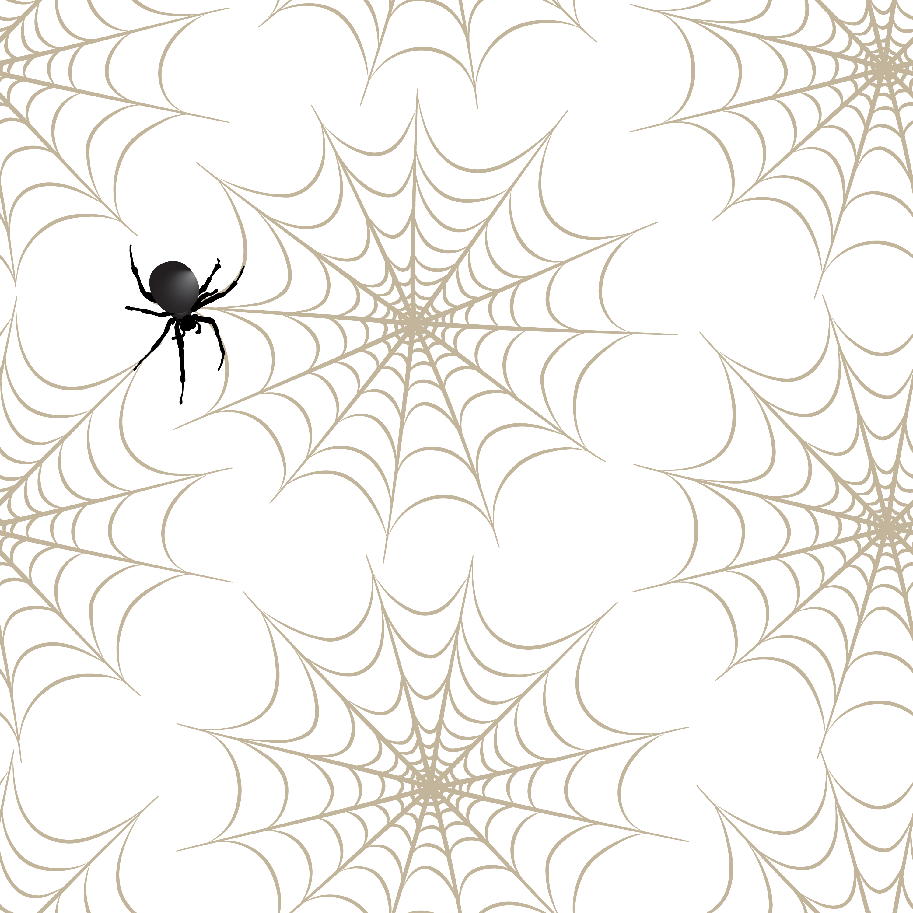 halloween spider wallpaper