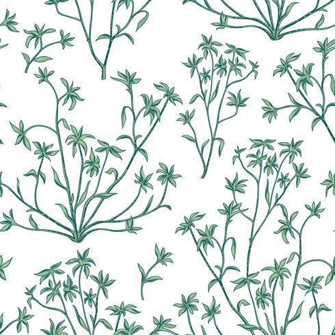 Floral leaves seamless pattern. Wild nature background. Flourish wallpaper with plants. vector