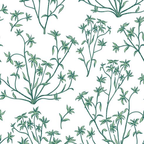 Hojas florales de patrones sin fisuras. Fondo de naturaleza salvaje. Papel de lustrar con plantas. vector