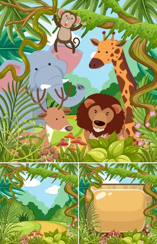 Escenas de la naturaleza con animales salvajes en la selva. vector