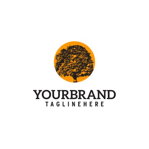 oak tree with orange sun in behind Logo design vector