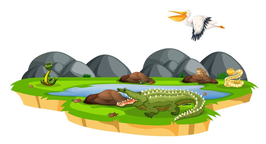 Animals in the nature vector