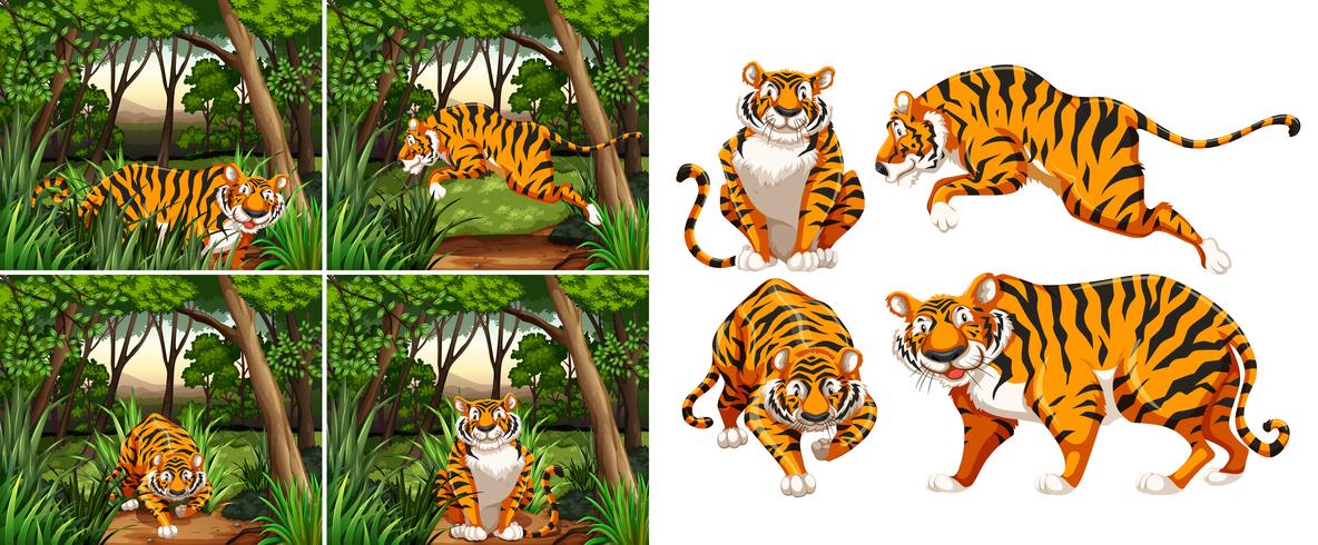 Tigre en el bosque vector