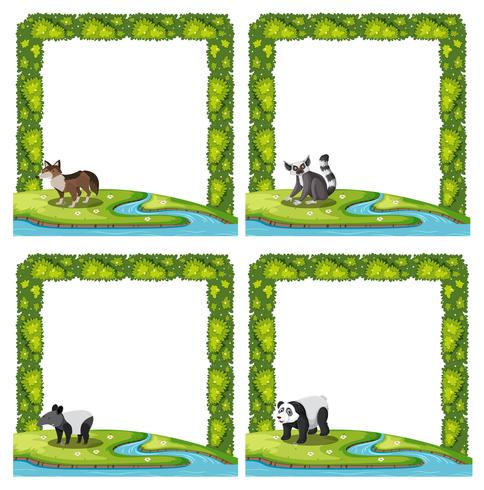 Set of animal frame vector