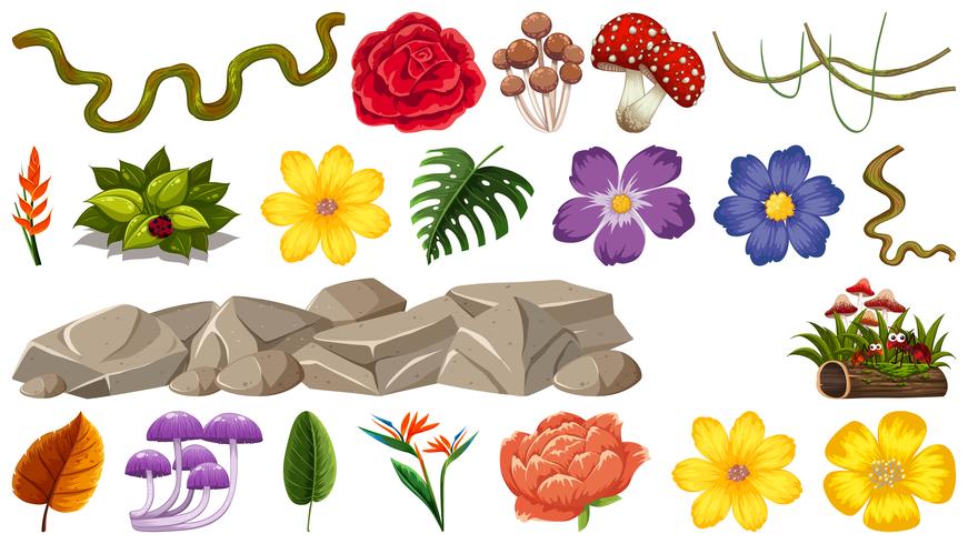 Set of nature object vector