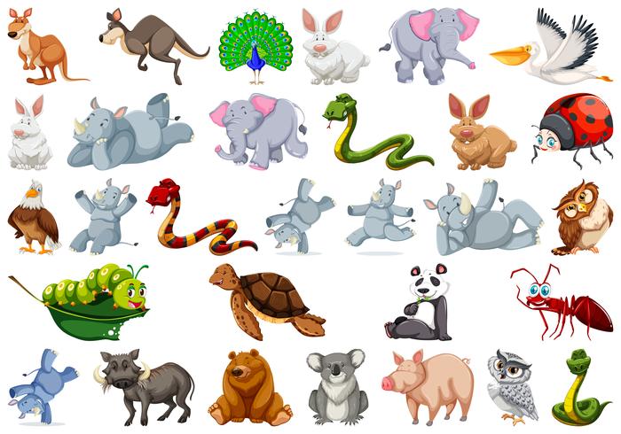 Set of wild animal vector