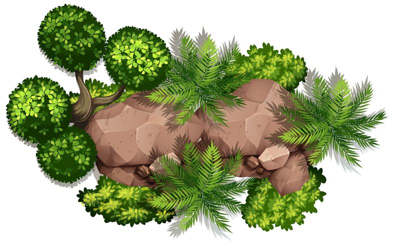 Conjunto de naturaleza rock y planta. vector