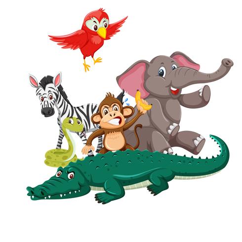 Group of wild animals vector