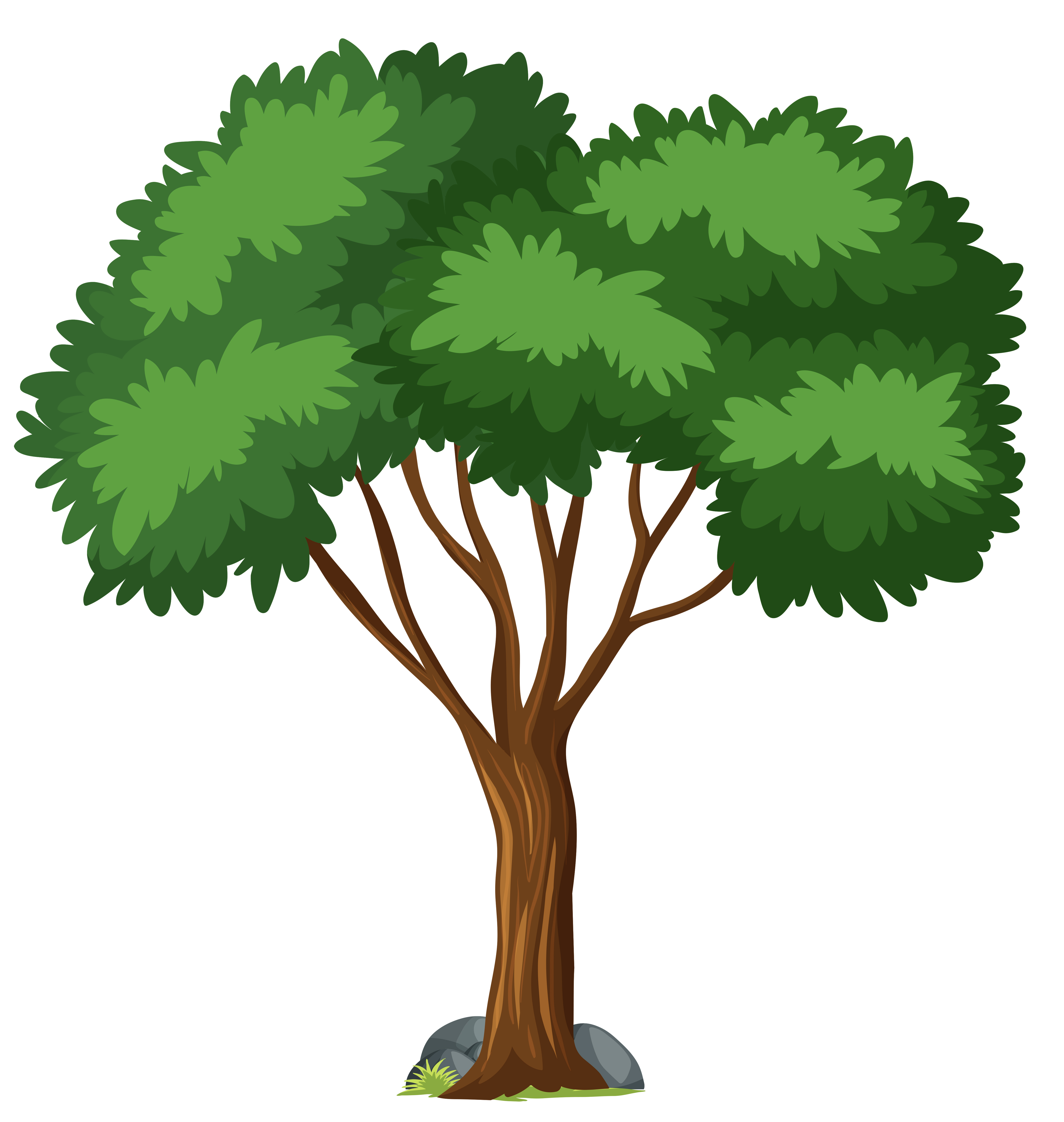 Vector Tree Isolated On White Background Isolated Tree On White Background Free Vectors