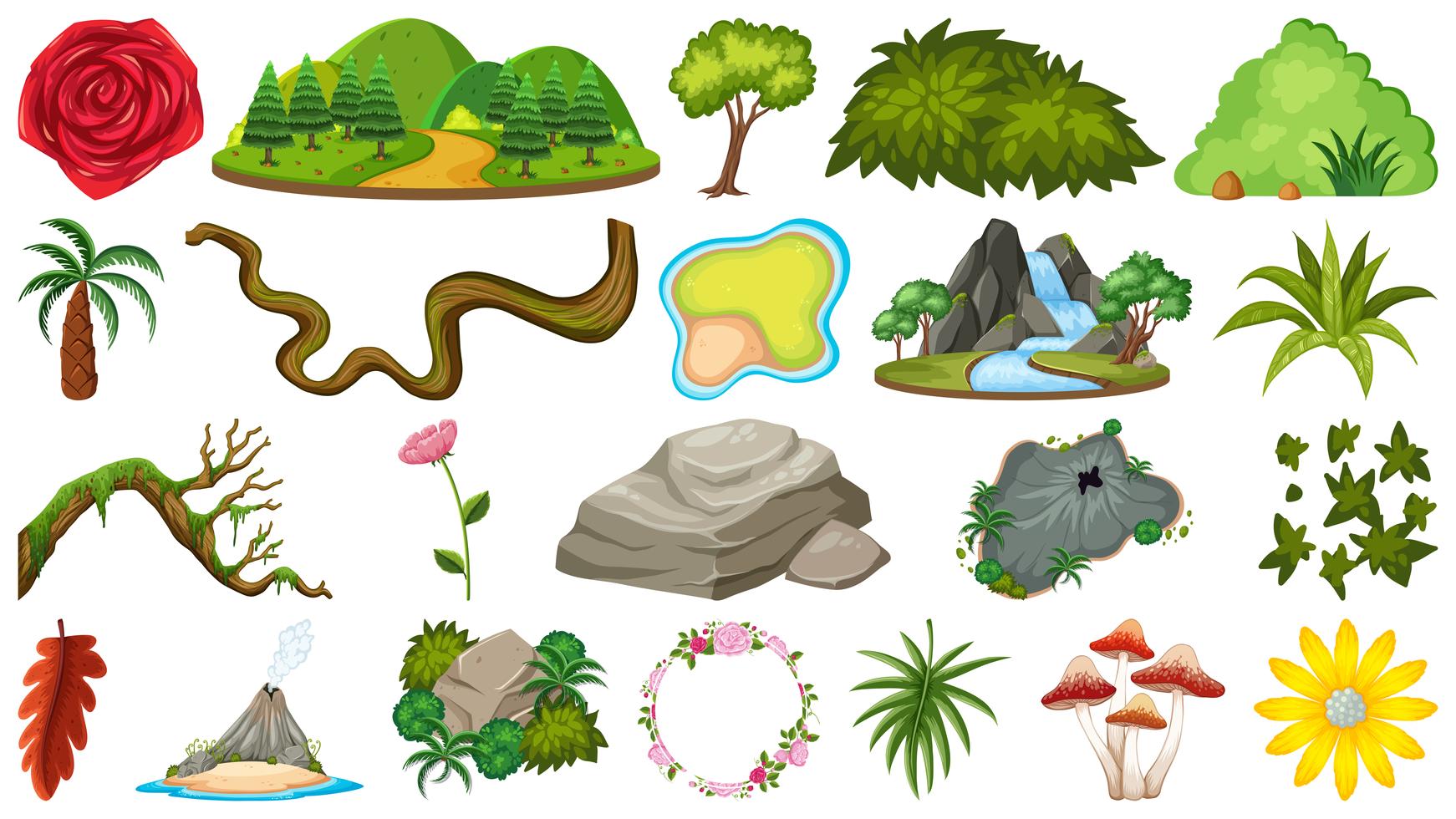 Set of nature object for decoration 589289 Vector Art at Vecteezy