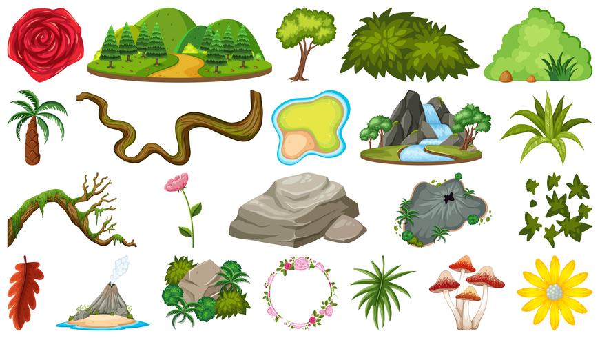 Conjunto de objetos de la naturaleza para la decoración. vector