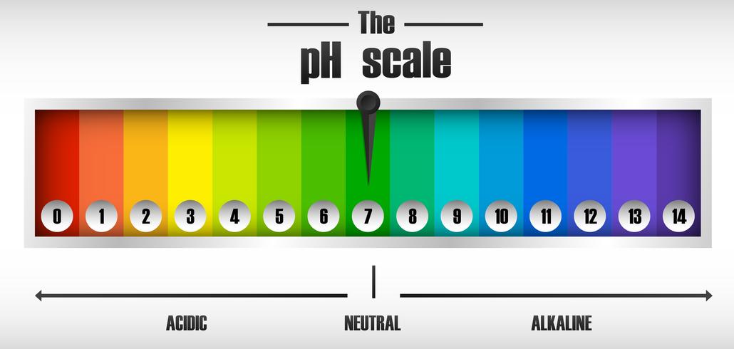 The ph scale diagram vector