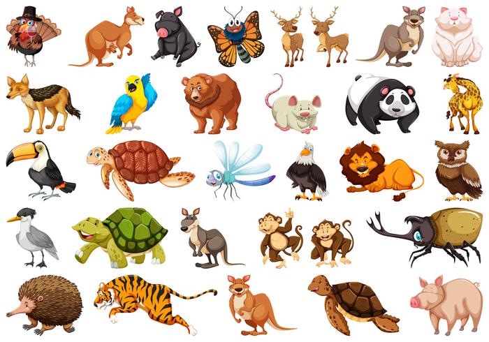 Conjunto de animal salvaje vector