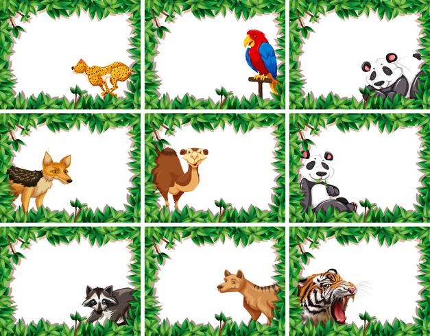 Set of animal on nature border vector