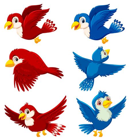 Set of bird character vector