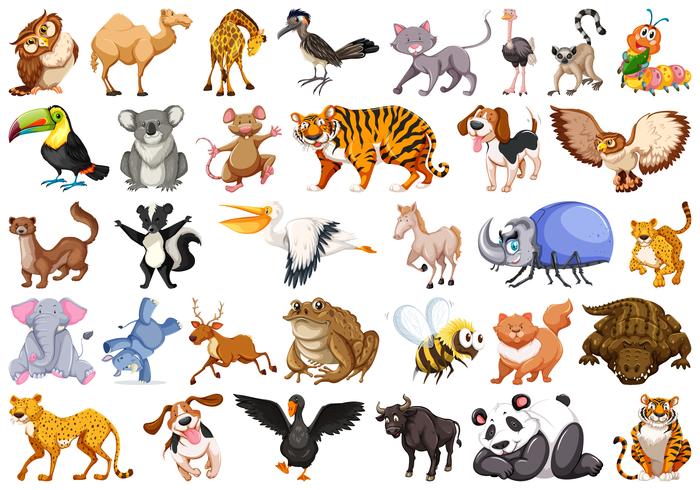 Conjunto de animal salvaje vector