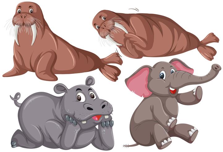 Set of animal character vector