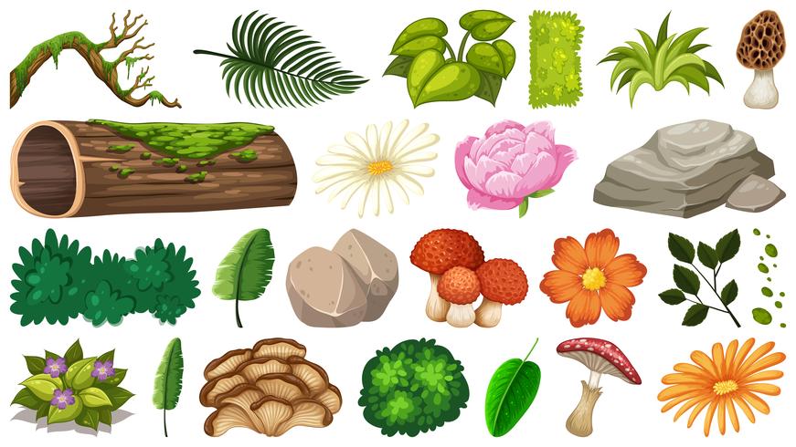 Set of nature object vector