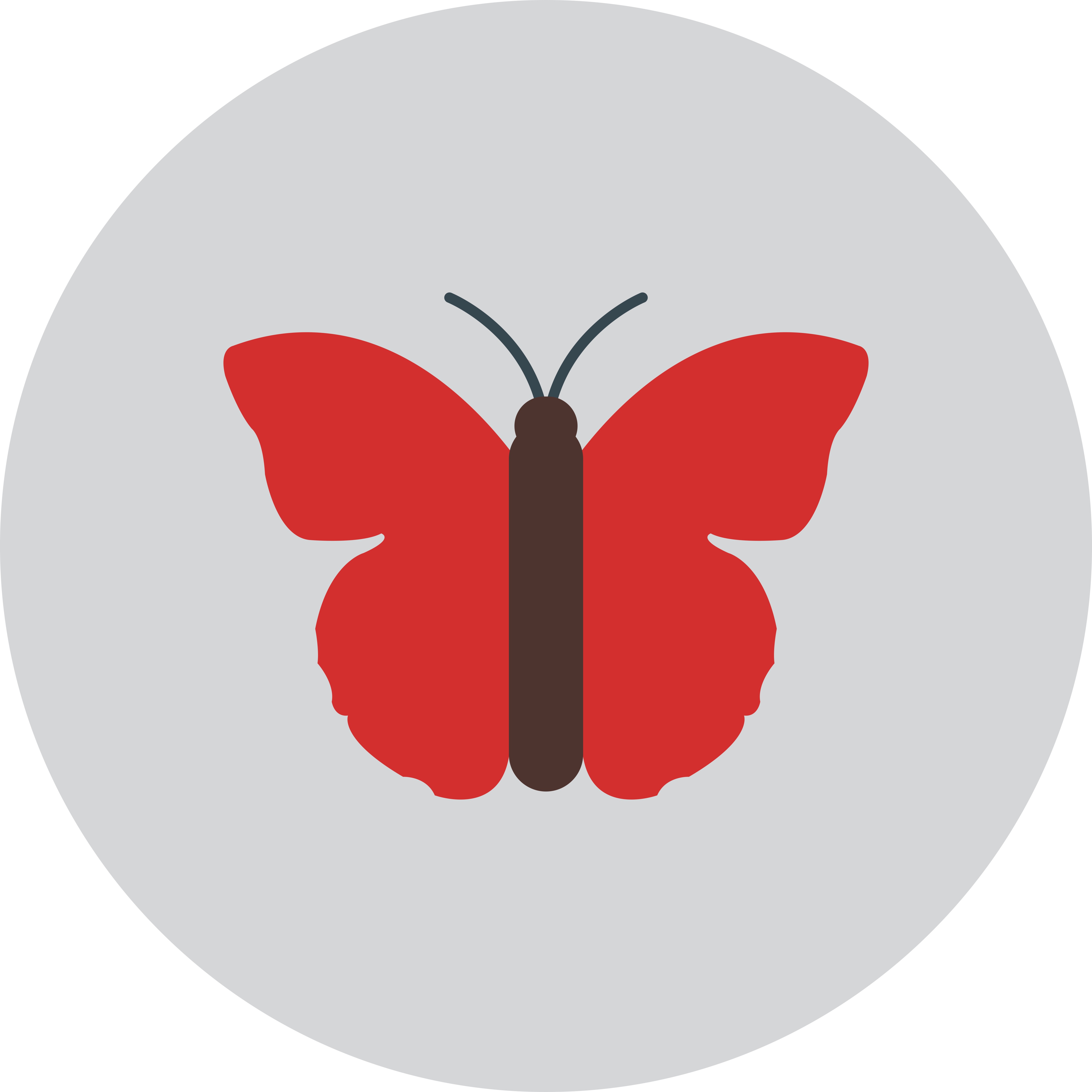 Vector Butterfly Icon 589855 Vector Art at Vecteezy