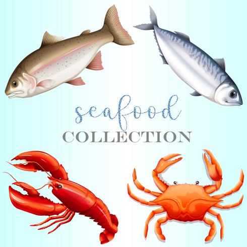 Colección de mariscos vector