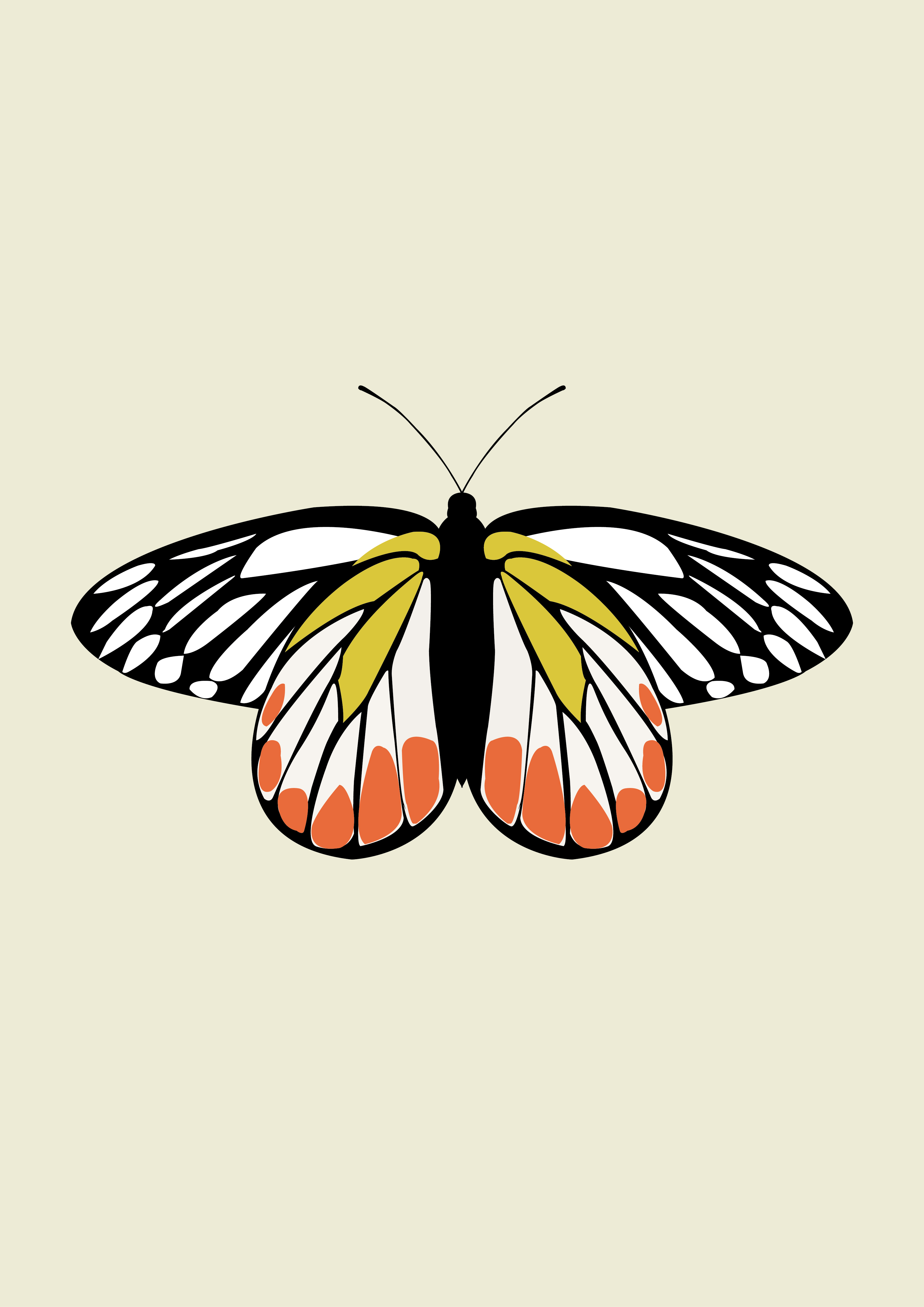 Free Free 315 Butterfly Svg Images Free SVG PNG EPS DXF File