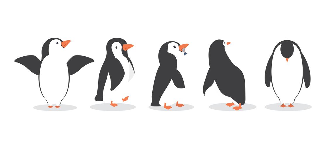 personajes de pingüinos en conjunto de diferentes poses vector