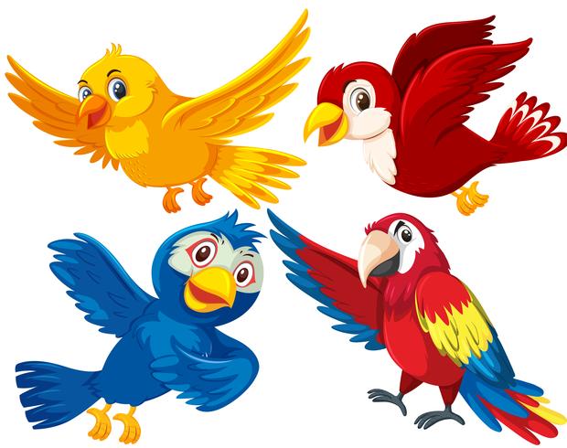 Conjunto de diferentes aves vector