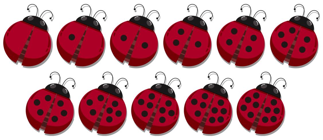 Math count ladybug spots  vector