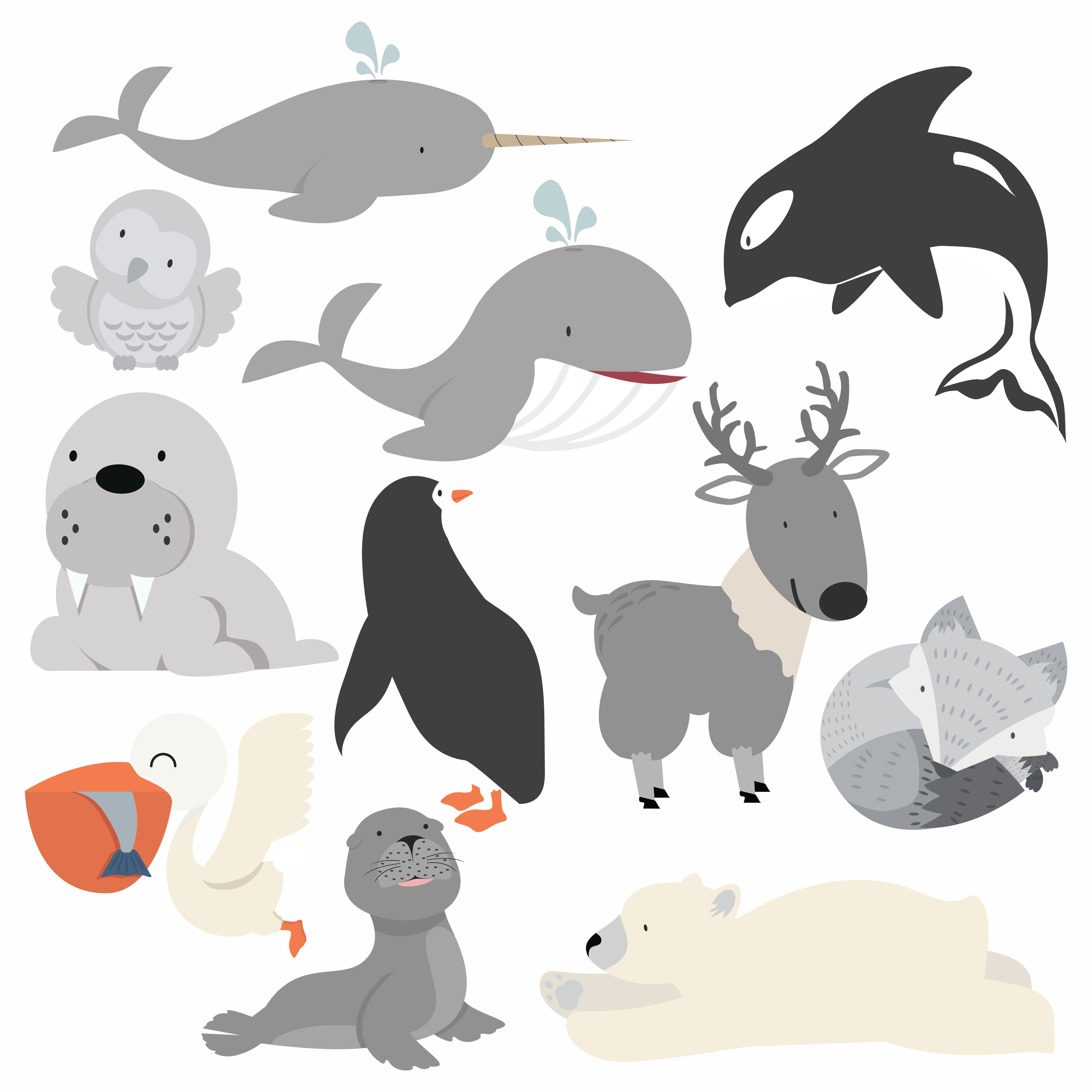 conjunto de lindos animales polares salvajes. colección de fauna del  ártico. lindos personajes de dibujos animados aislados sobre fondo blanco  7658715 Vector en Vecteezy