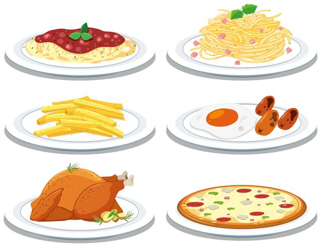 Set of different meals vector