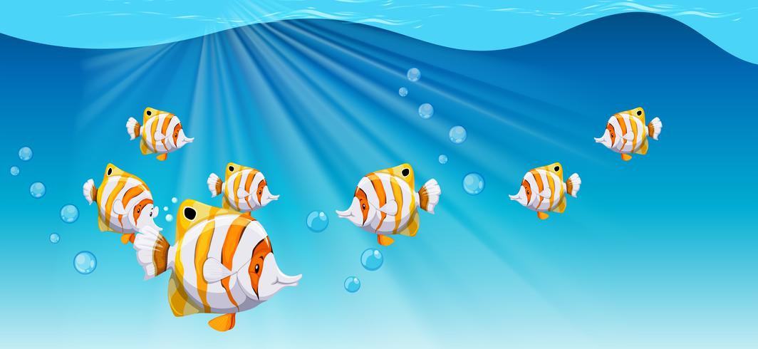 Fish swimming under the ocean vector