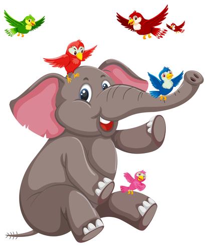 Happy elephant with bird