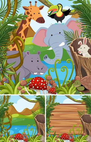 Escenas de la naturaleza con muchos animales en el bosque. vector