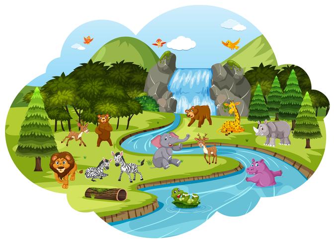 Animales en escena del bosque vector