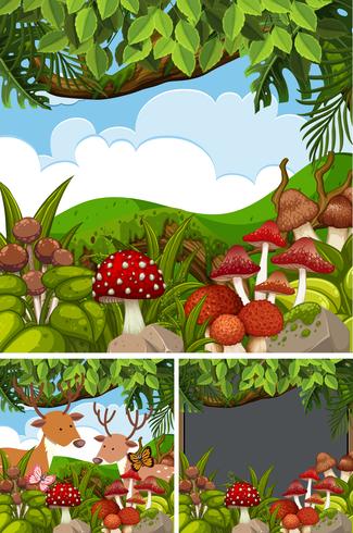 Three forest scenes with deers and mushrooms vector