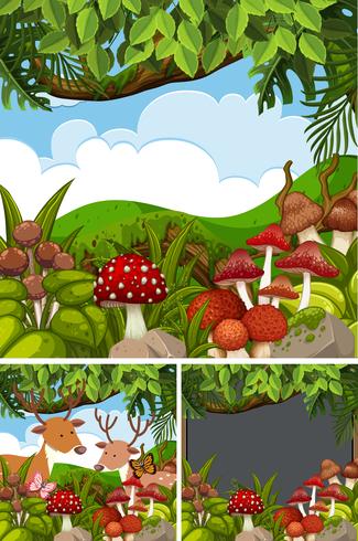 Tres escenas de bosque con venados y setas. vector