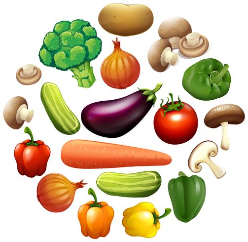 Different kind of vegetables vector