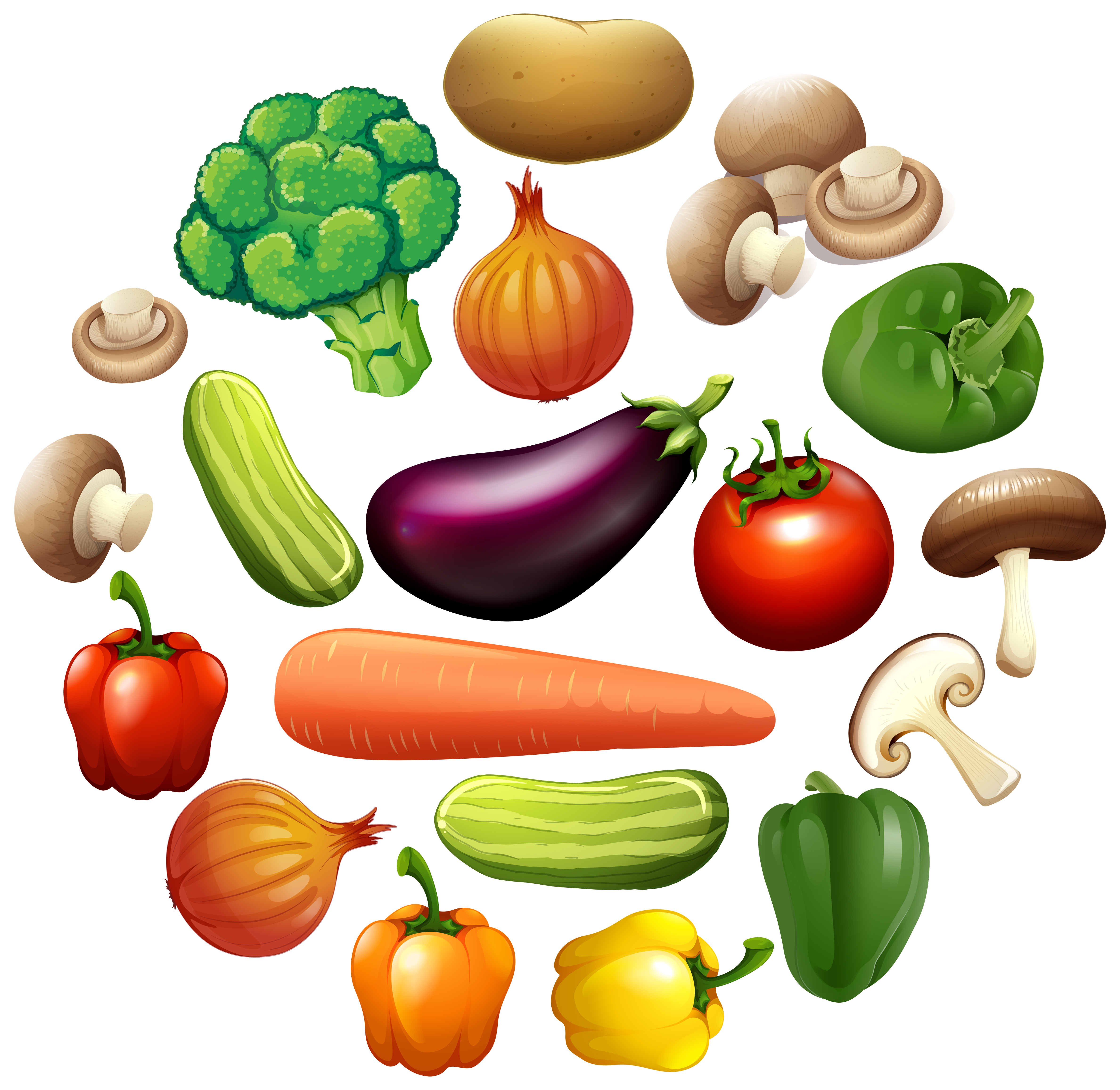 Different kind of vegetables - Download Free Vectors ...