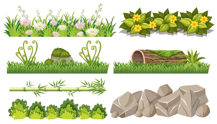 Set of forest objects vector