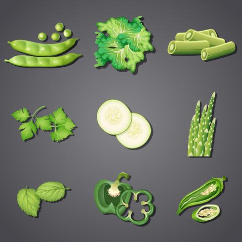 Un conjunto de vegetales verdes frescos vector