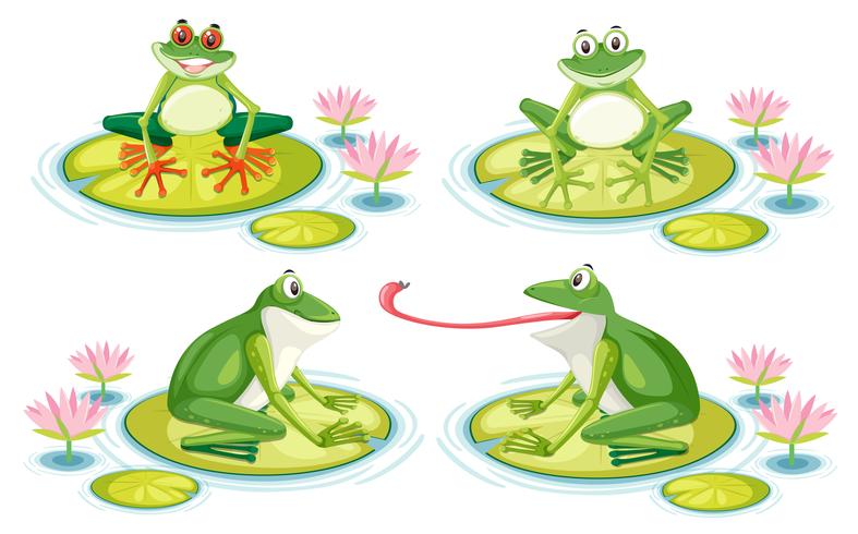 Set of frog on lotus pad vector