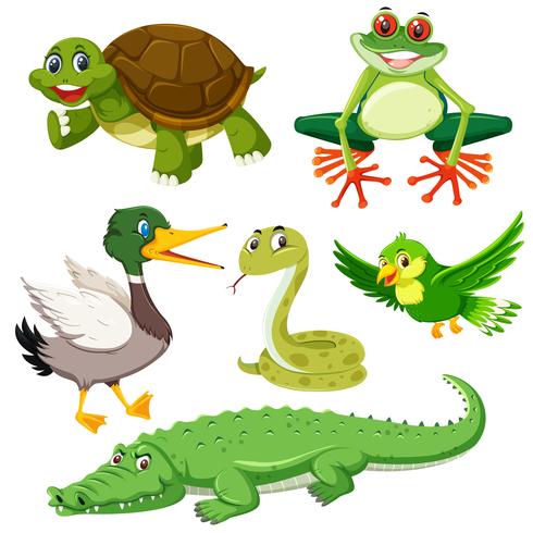 Set of green animal vector
