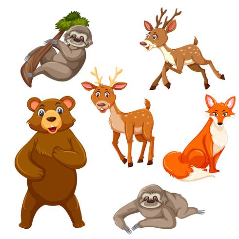 Set of exotic animals vector