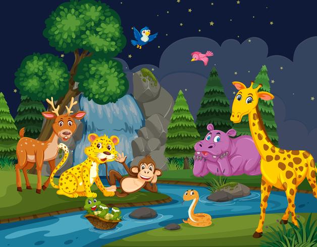 Wild animals in woods at night vector