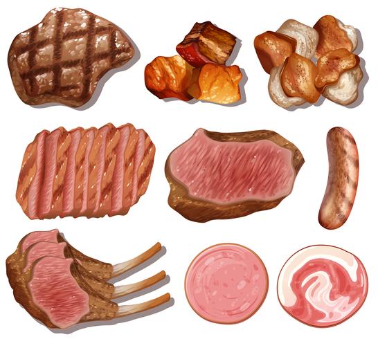 A Set of High Protein Food vector