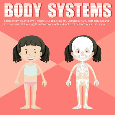 Infographic of girl and body system vector