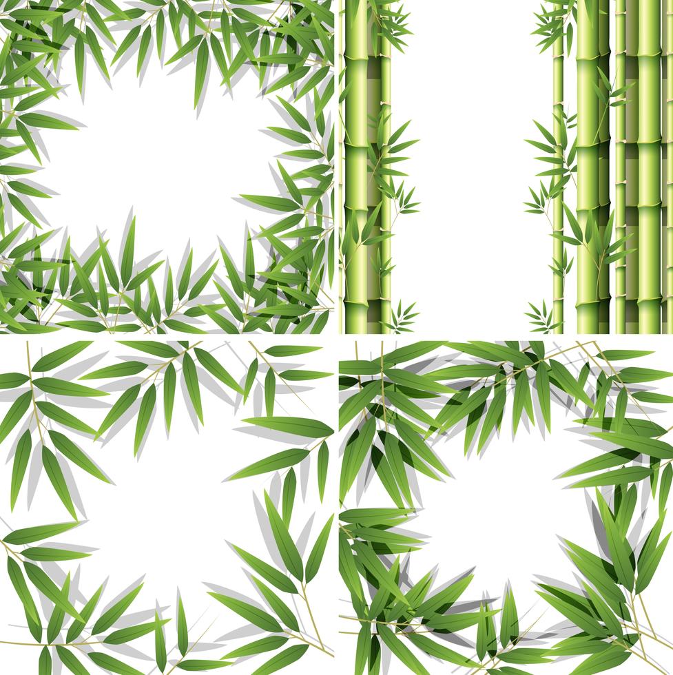 Set of bamboo frames 591599 Vector Art at Vecteezy